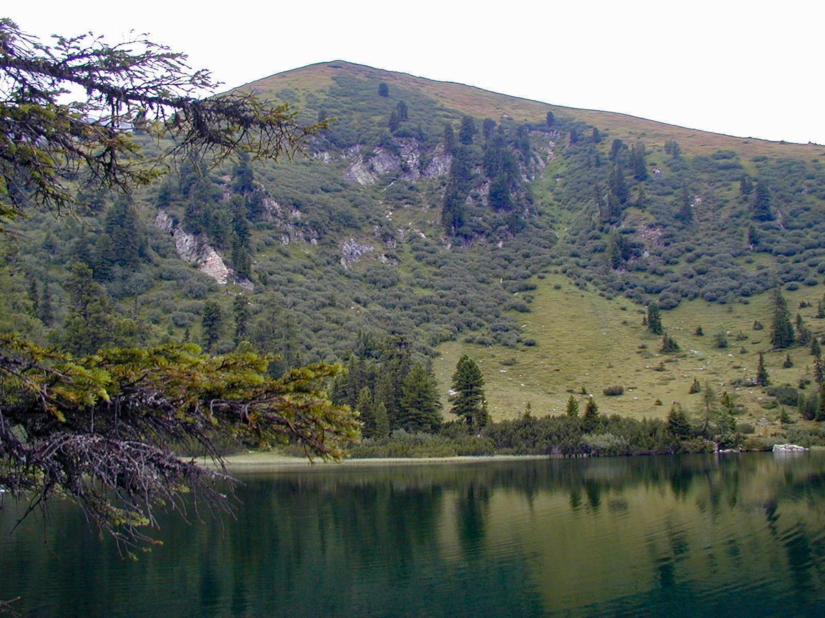 Scheiblsee