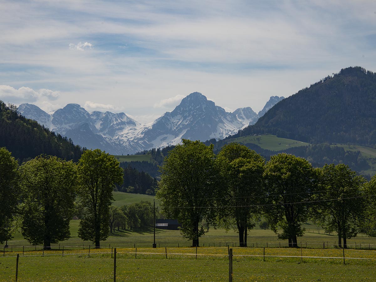 Blick zur Spitzmauer