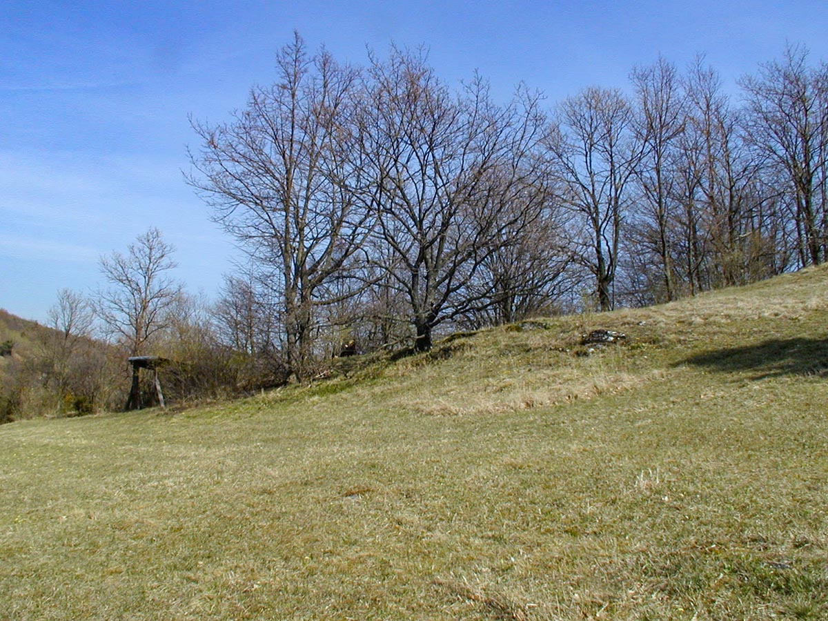 K&uuml;chenschellenwiese