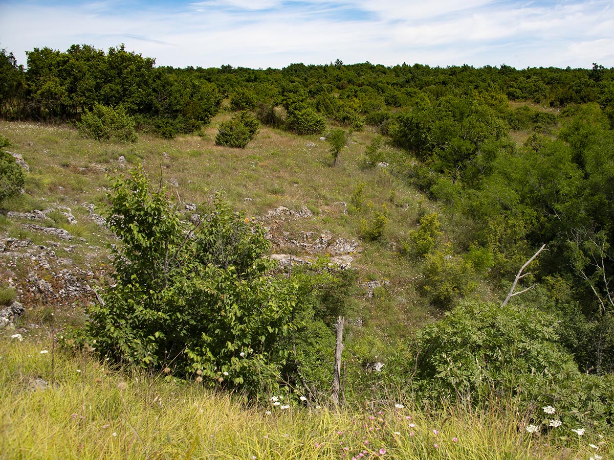 Habitat